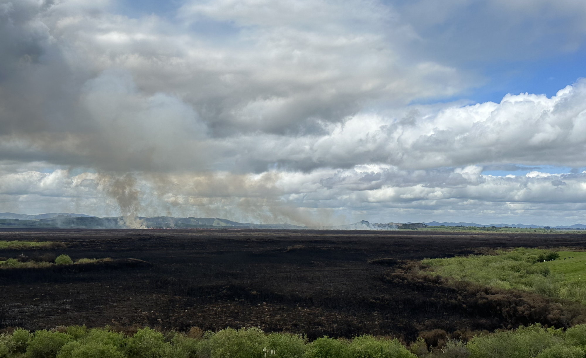 A wetlands fire in New Zealand, and how it relates to us in B.C.