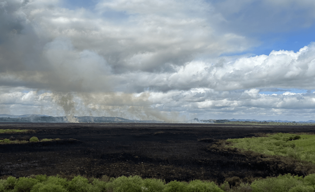 A wetlands fire in New Zealand, and how it relates to us in&nbsp;B.C.