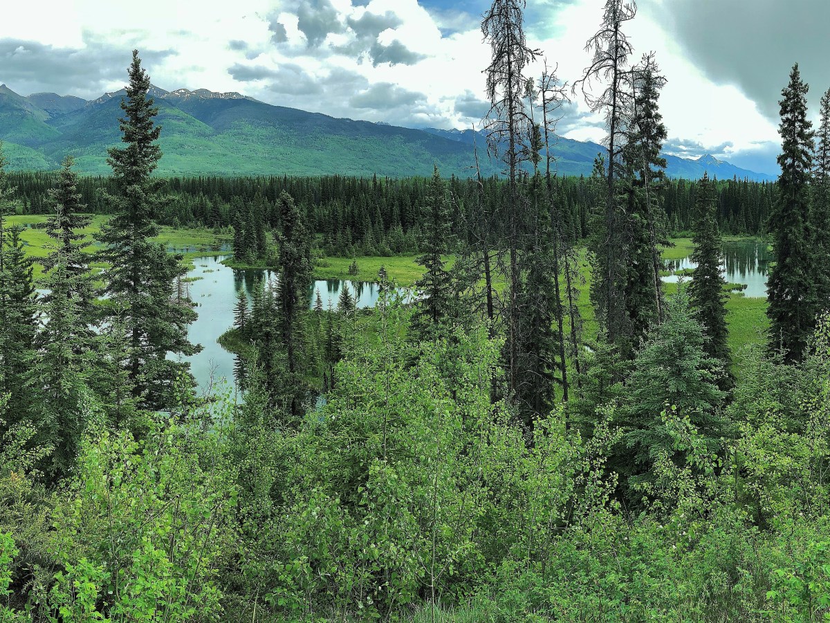 Wetland Ecosystem Services Protocol and Predictive&nbsp;Mapping