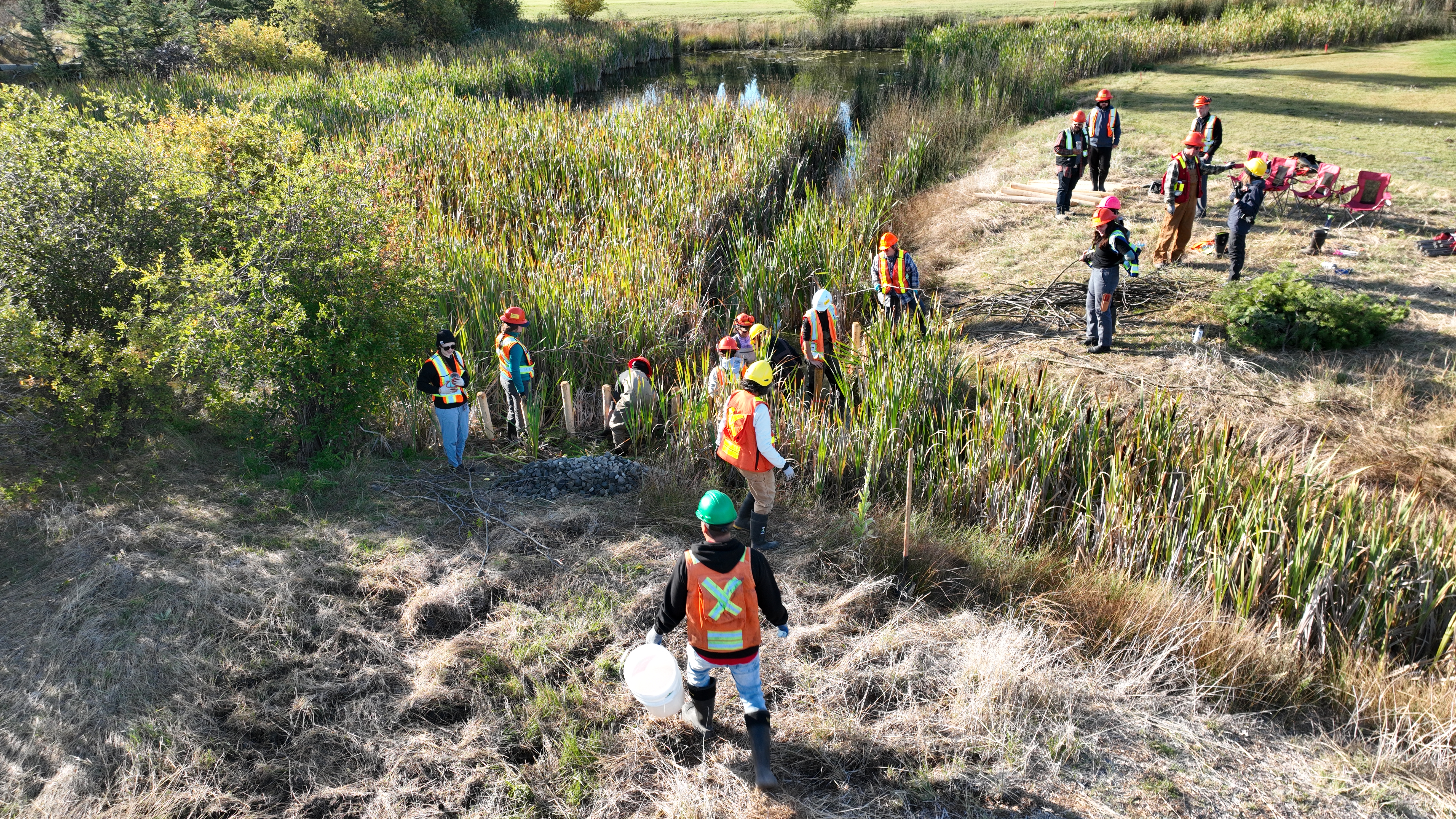 BCIT students cut their teeth on beaver-based restoration  