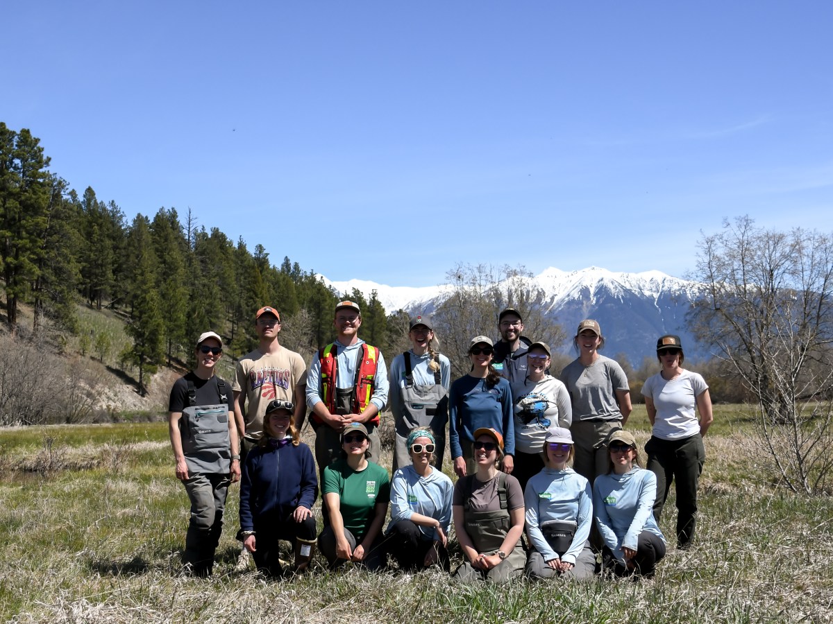 Who is The B.C. Wildlife Federation’s Watershed&nbsp;Team?