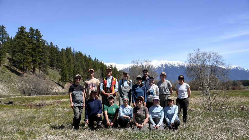 Who is The B.C. Wildlife Federation’s Watershed&nbsp;Team?