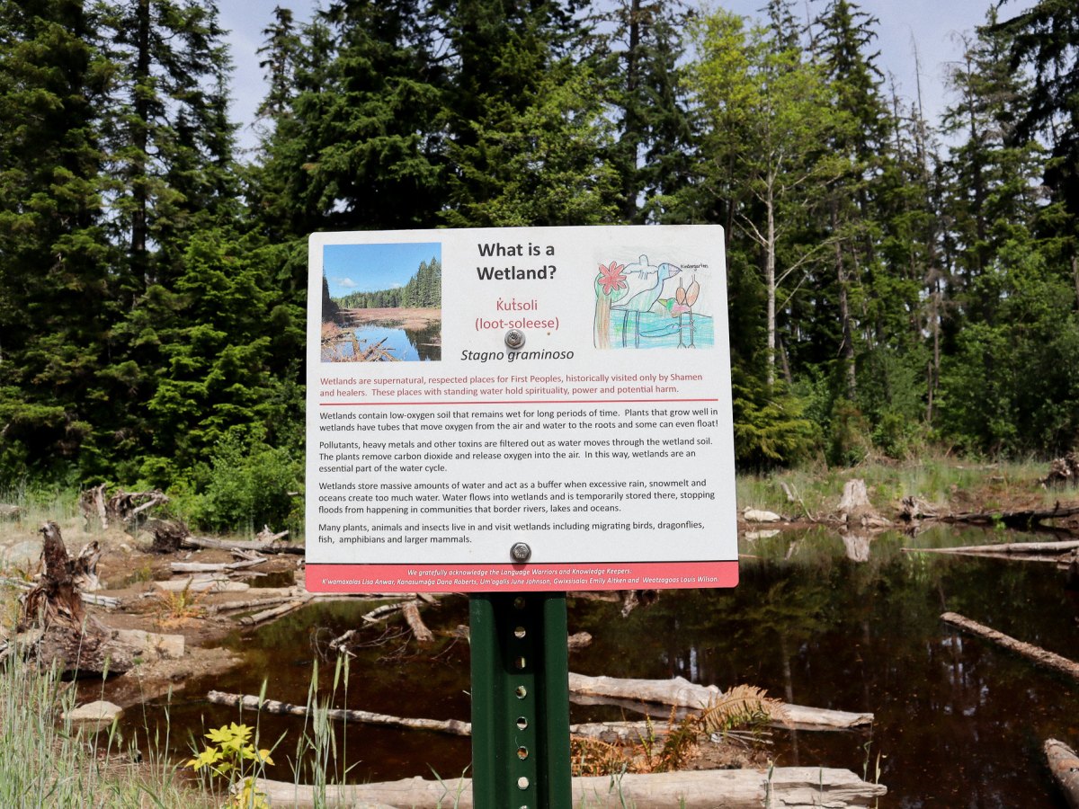 Quadra Island Wetland Restored 