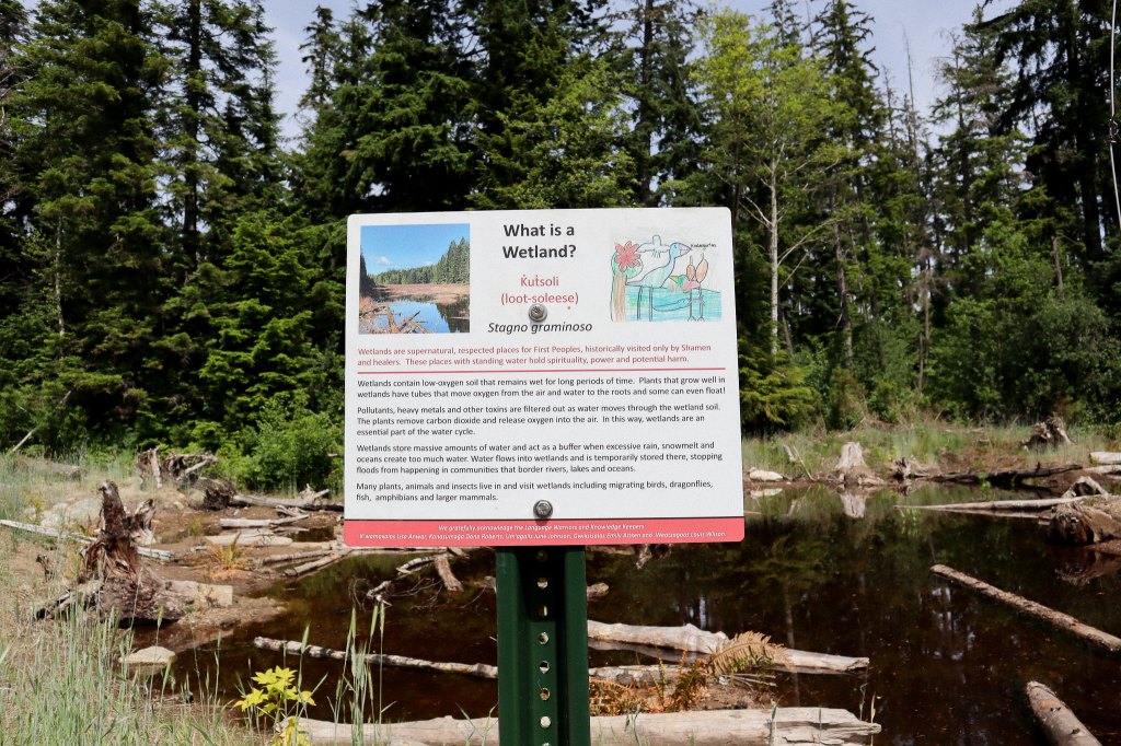 Quadra Island Wetland Restored 