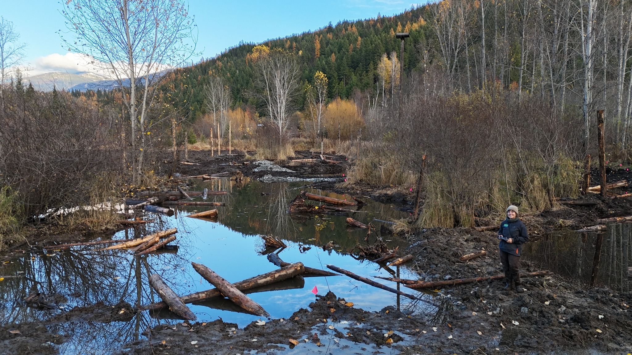 Restoring Balance — Wetland Renewal at Crooked Horn Farm
