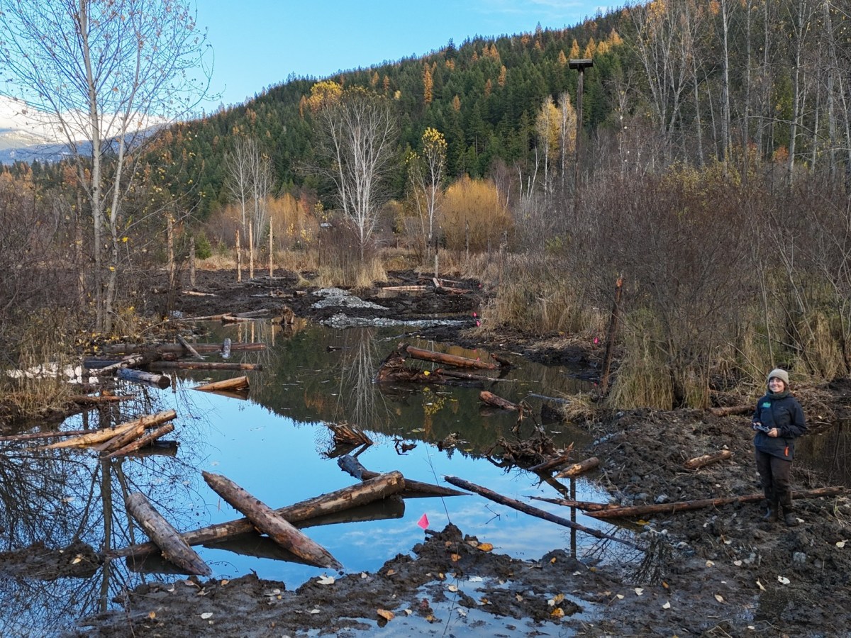 Restoring Balance — Wetland Renewal at Crooked Horn&nbsp;Farm