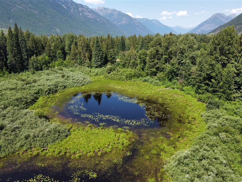 Using Laws and Legislation to Protect Your Wetlands