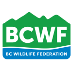BCWF Watershed Team