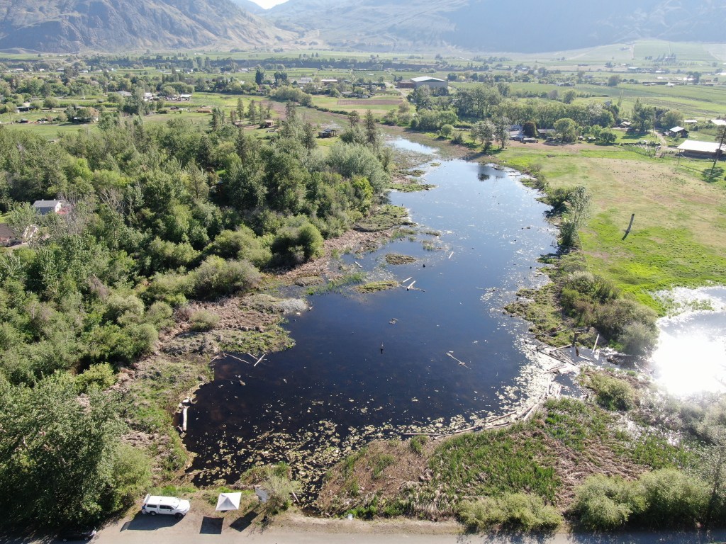 nʔaʕx̌ʷt (Ginty’s Pond) — The Power of Partnerships