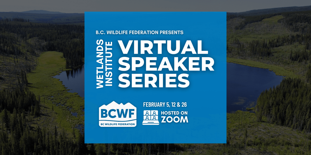 Wetlands Institute — Virtual Speaker Series 2025