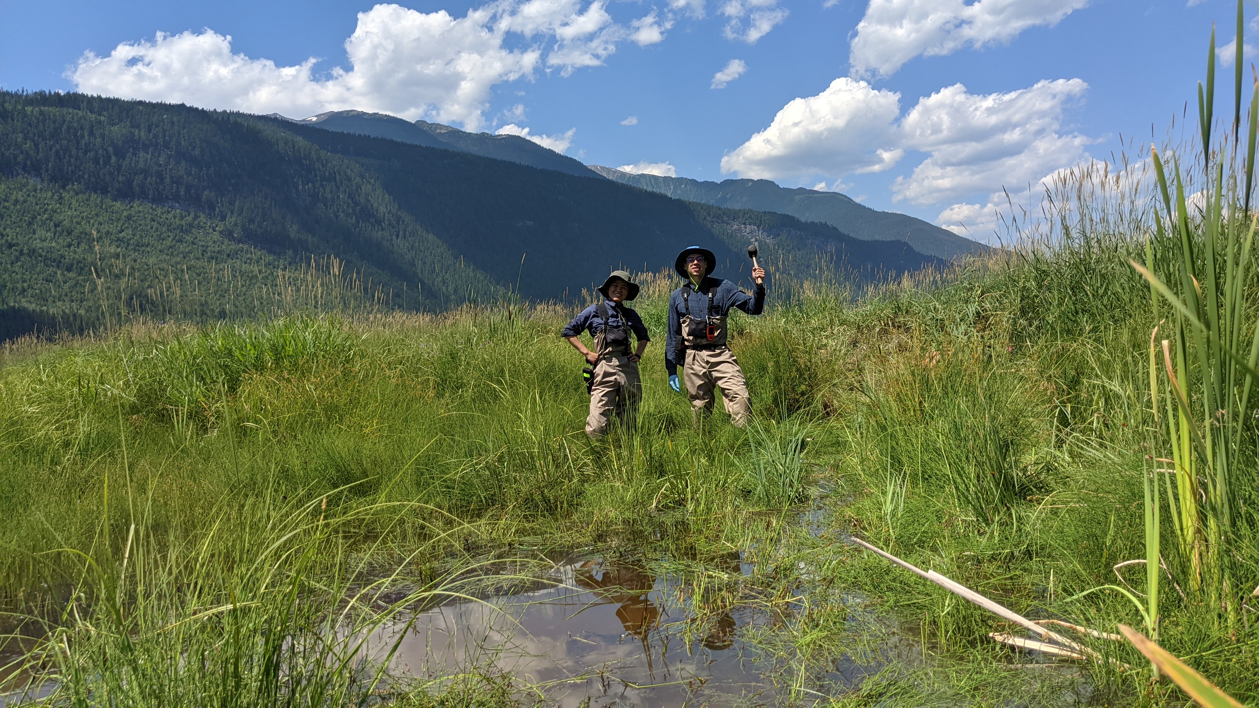 Macroinvertebrates — The Living World Beneath the Water