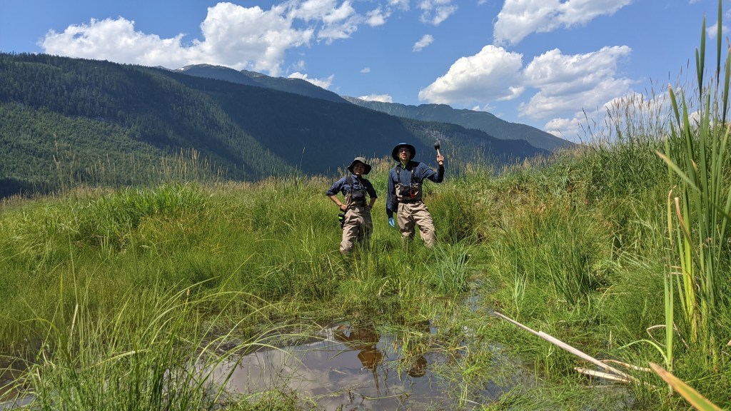Macroinvertebrates — The Living World Beneath the&nbsp;Water