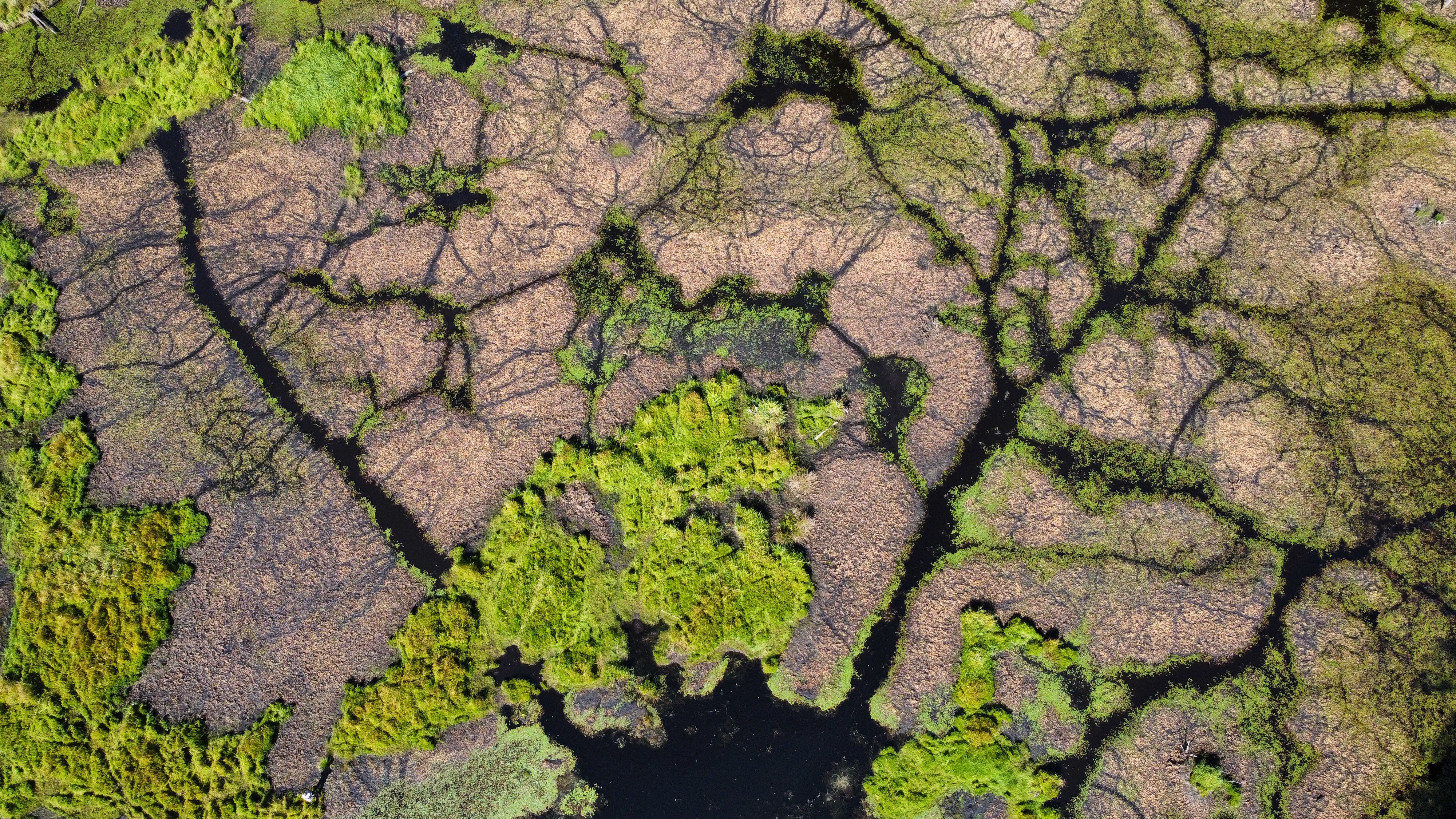 World Wetlands Day