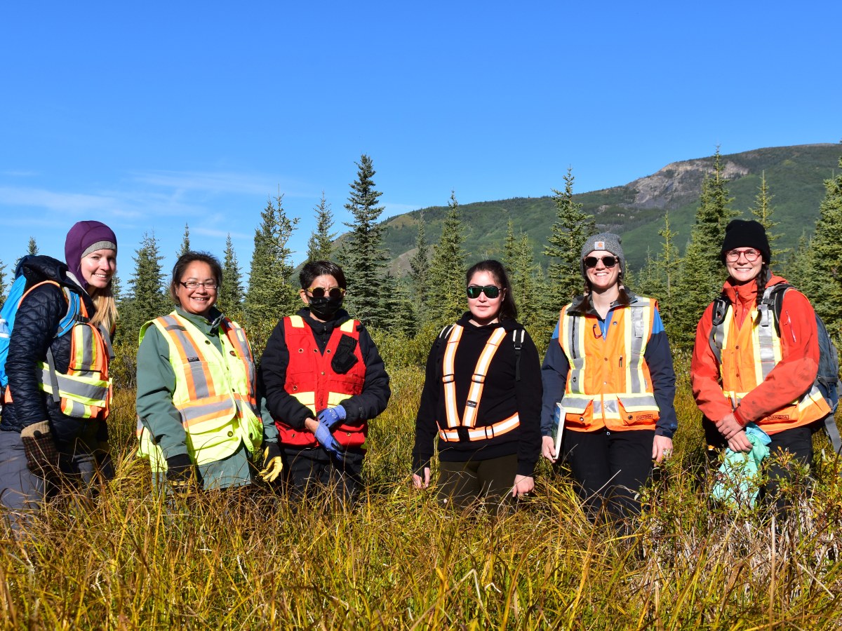 Northern Lights College Students Help Assess Wetland Health in the Northeast 