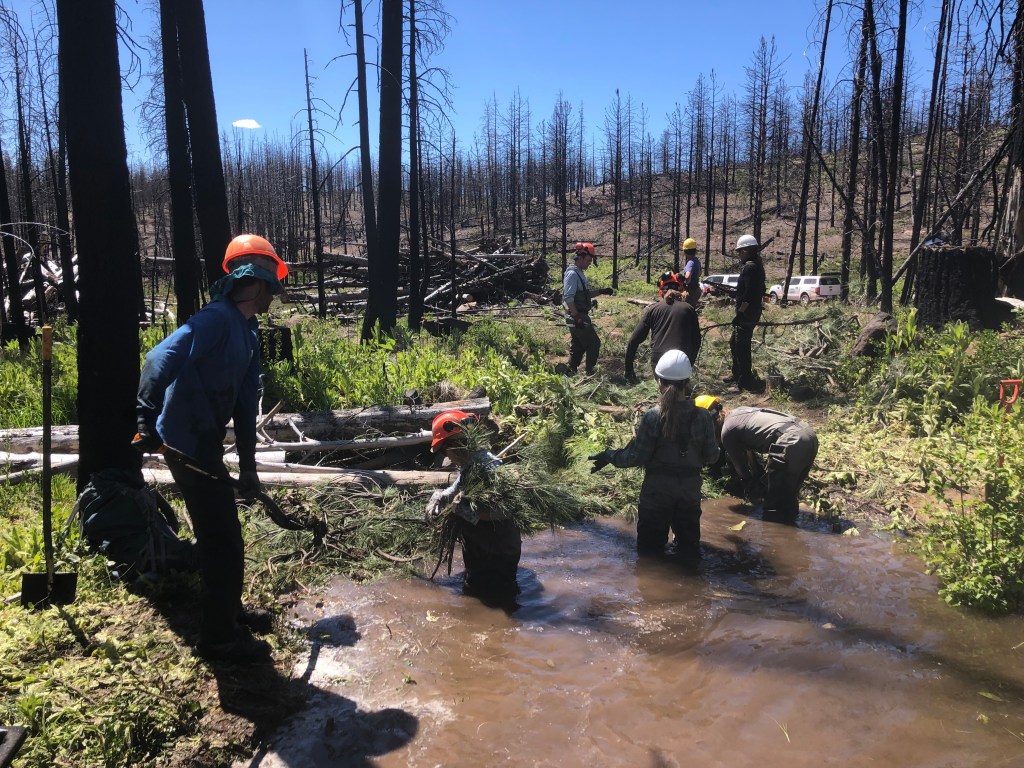 Watershed Security Will Require a Billion-Dollar Investment 