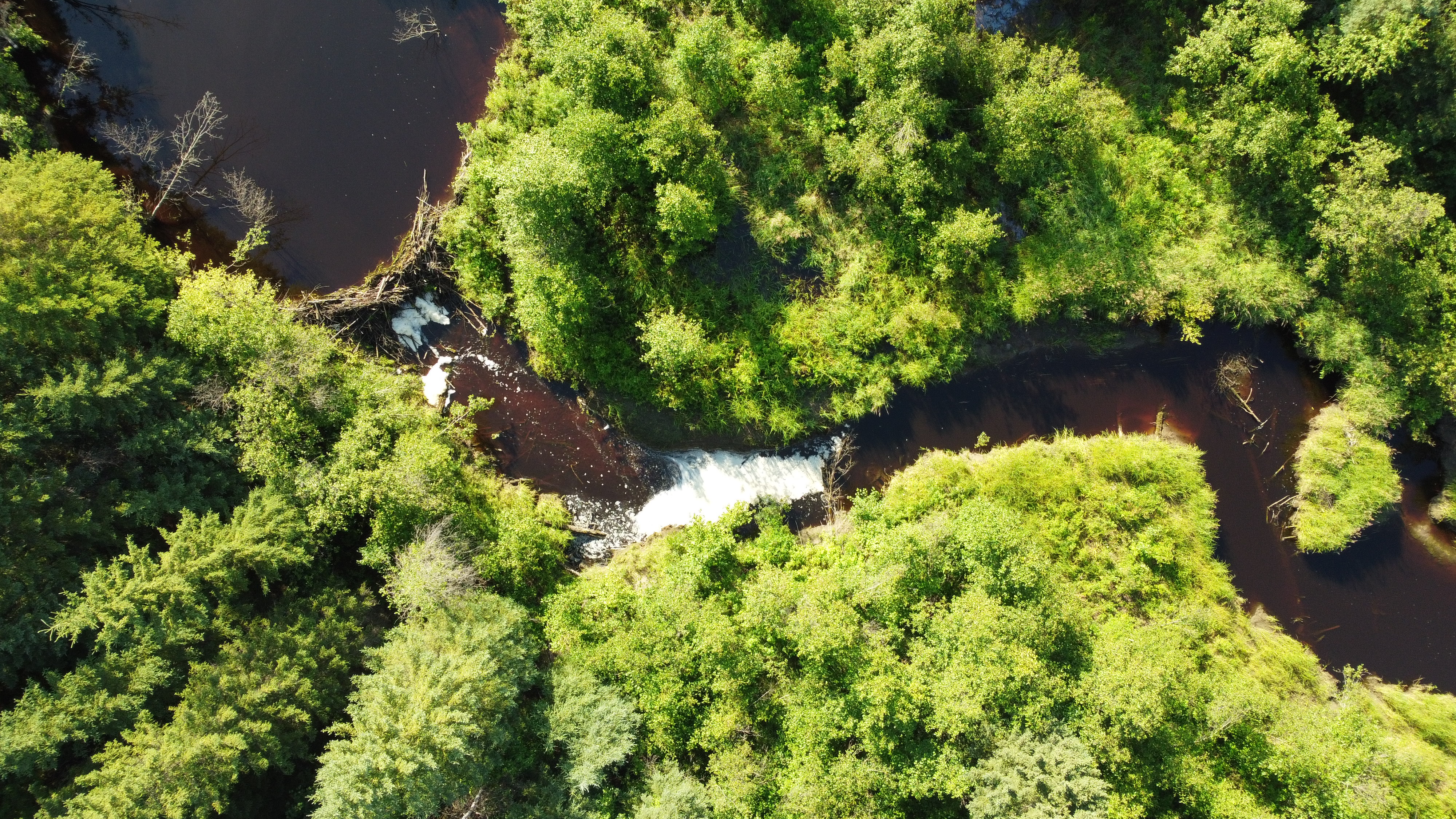 World Rivers Day — Celebrating and Protecting Our Waterways