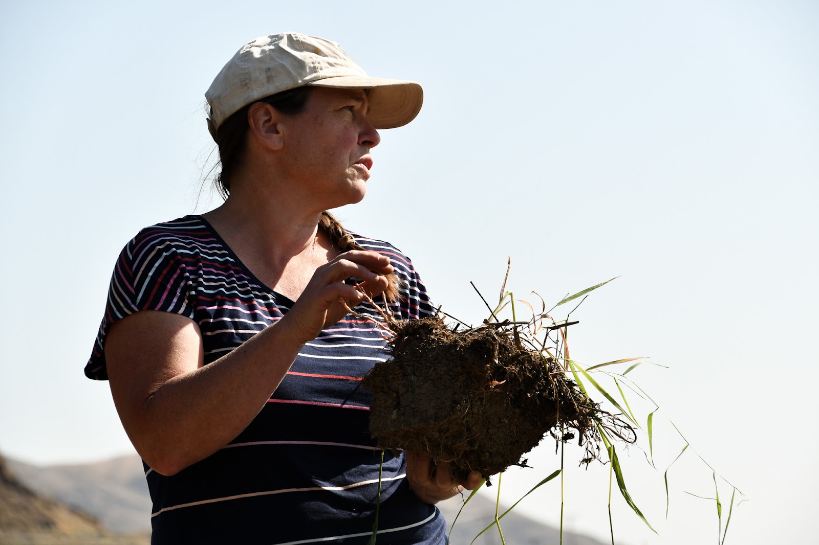 From Forage to Foe — The Environmental Impact of Reed Canarygrass Invasion