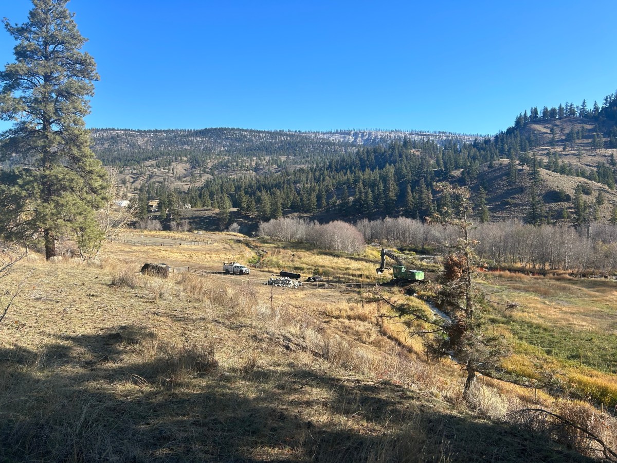 Bonaparte channel restoration is a win for coho and the people who love&nbsp;them