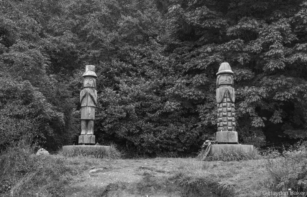 Restoring Xwaaqw’um: Wetland Restoration at Burgoyne Bay Provincial&nbsp;Park