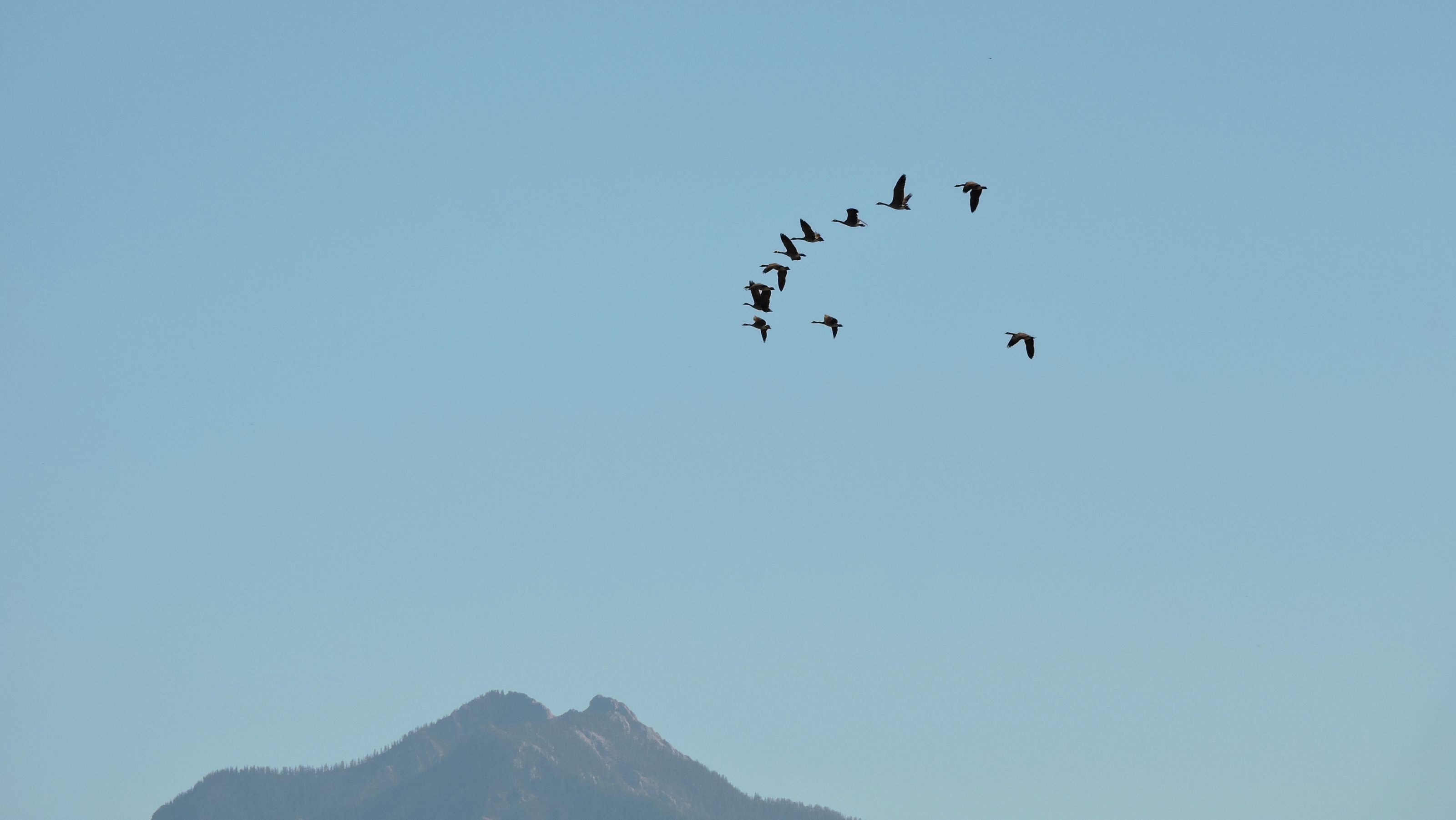 Wetlands — A Stop-over in the Great Migratory Journey