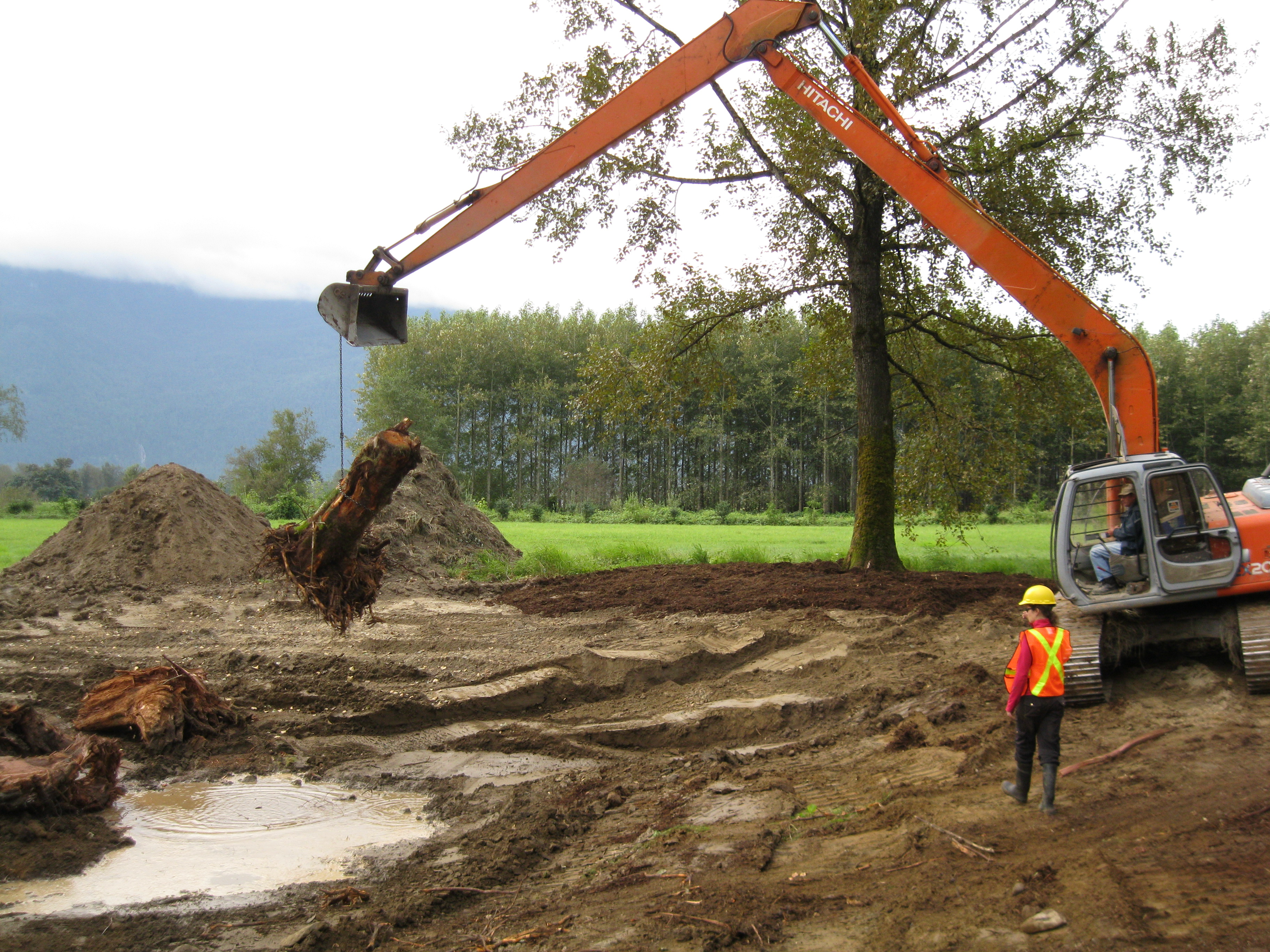 Wetland Institute Alumni Restores Wetland in Fraser Valley