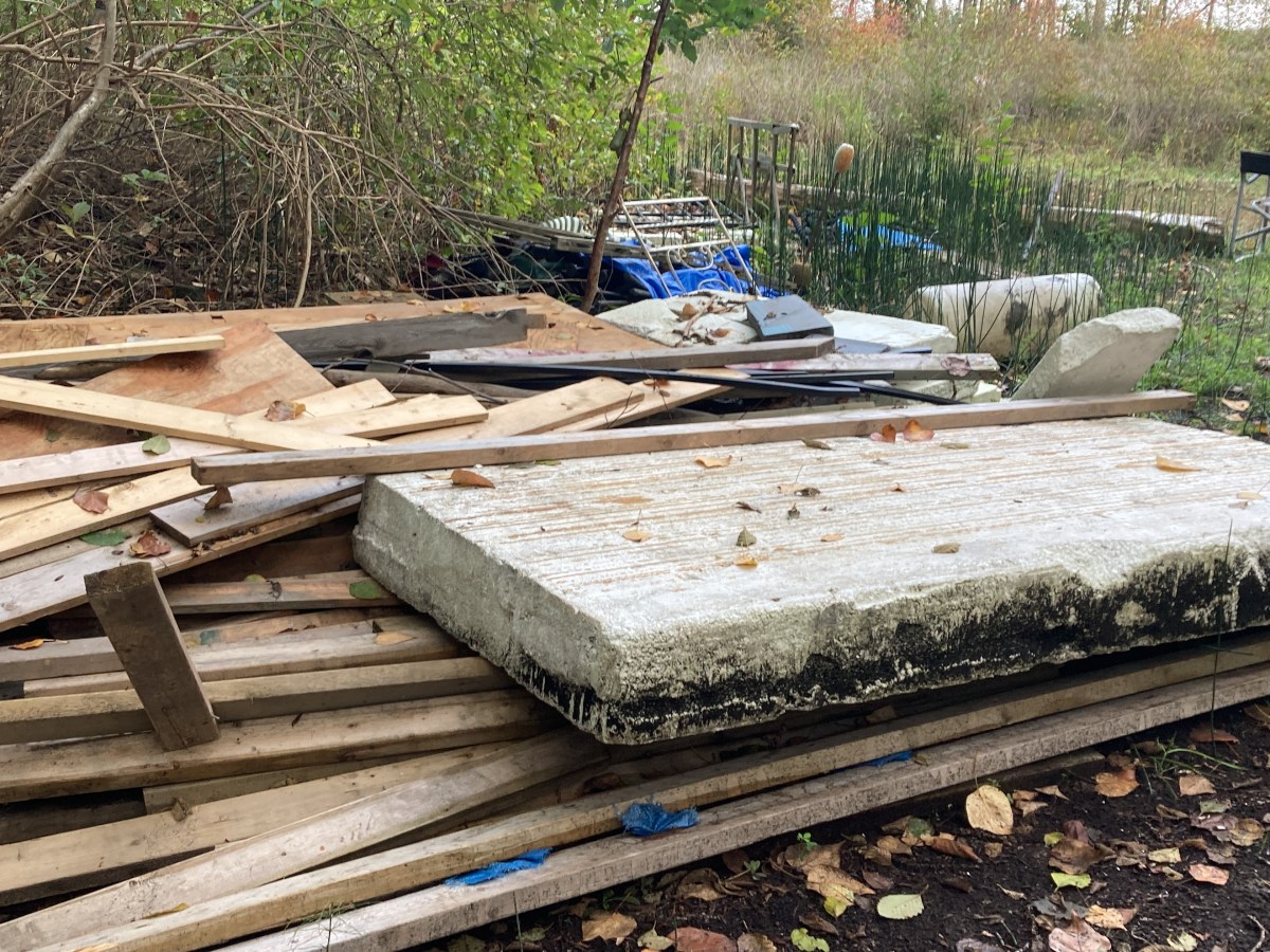 Microplastics Are No Small&nbsp;Problem