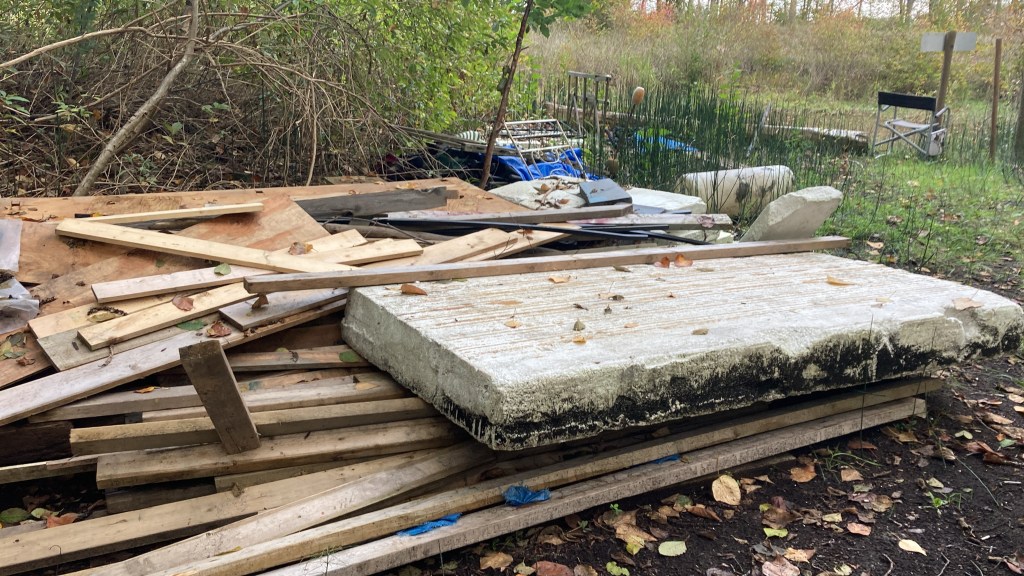 Microplastics Are No Small Problem