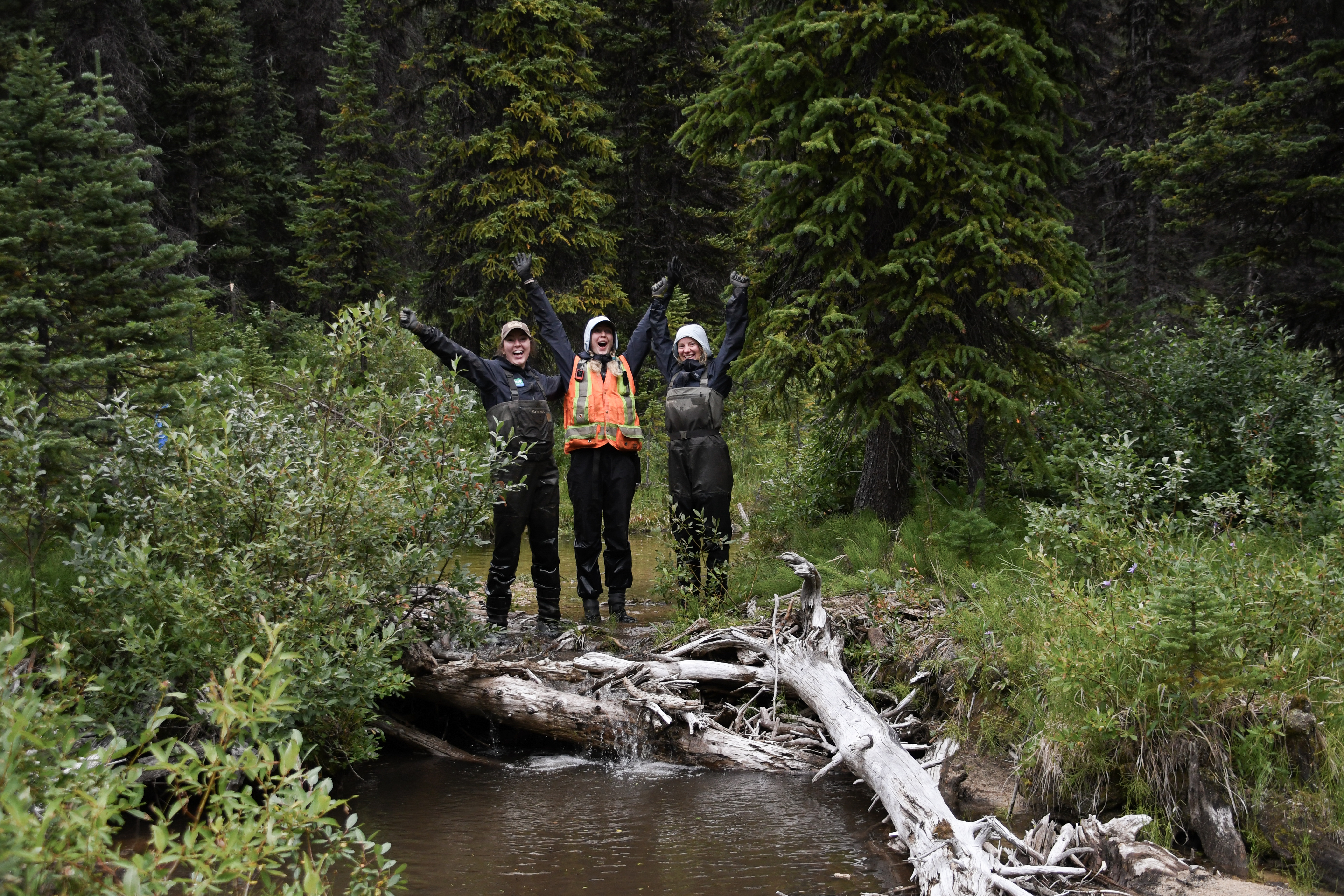 Building Like Beavers — BCWF’s 10,000 Wetlands Project Update