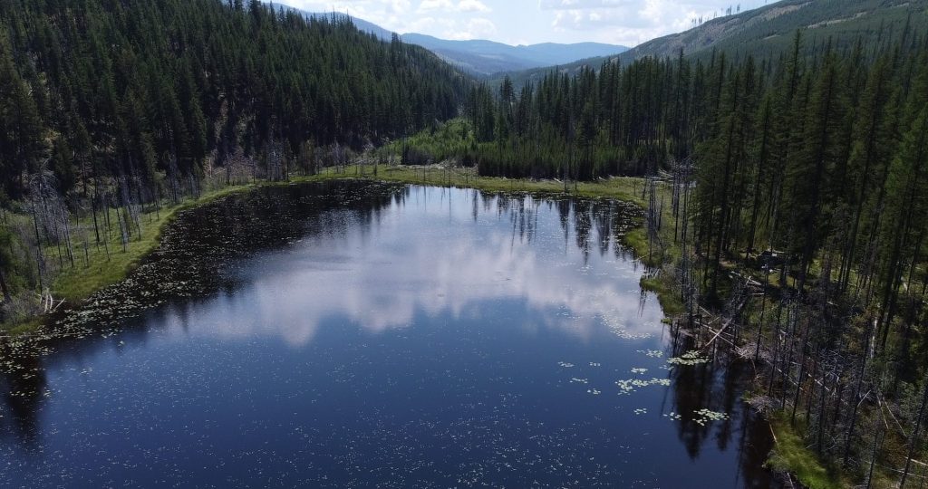 The Workforce Calibrating B.C.’s&nbsp;Wetlands