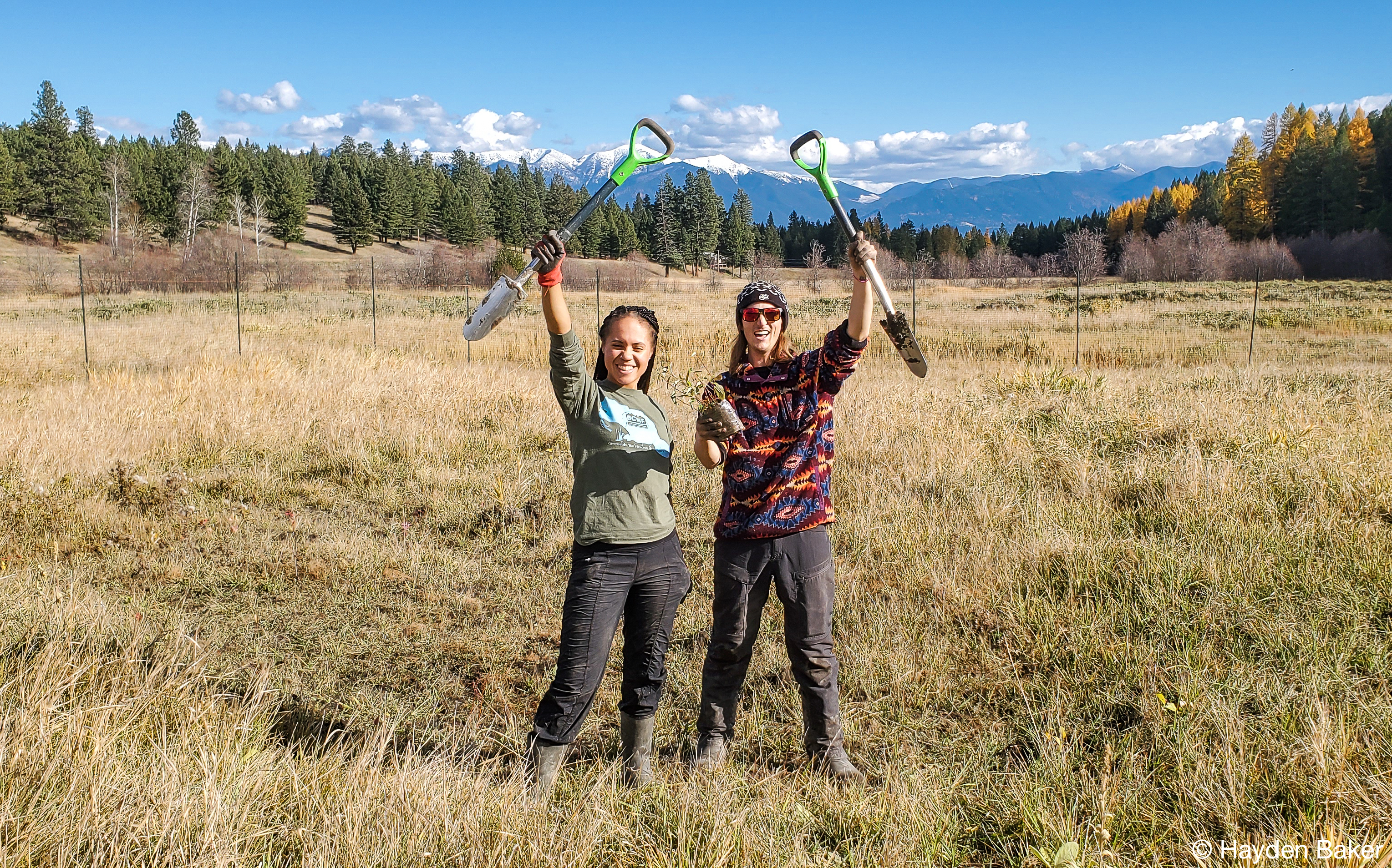 Conservation in the Kootenays: Restoring Wetlands for Wildlife
