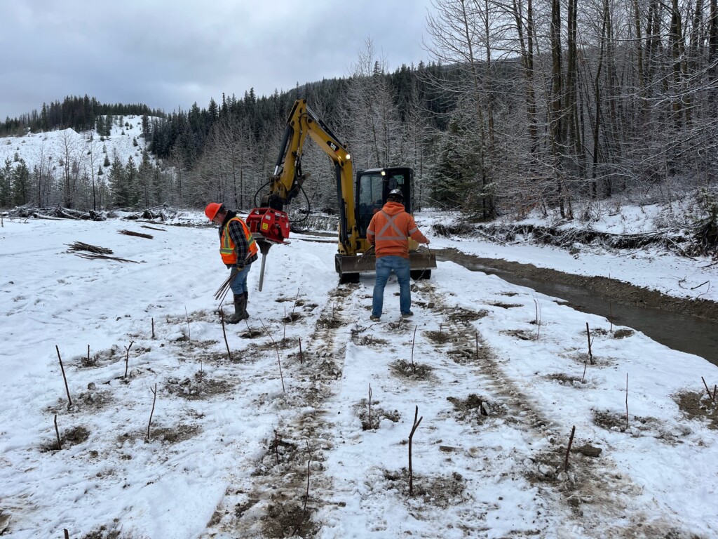 Revitalizing Juliet Creek — Enhancing Fish Habitat and Stream Connectivity  