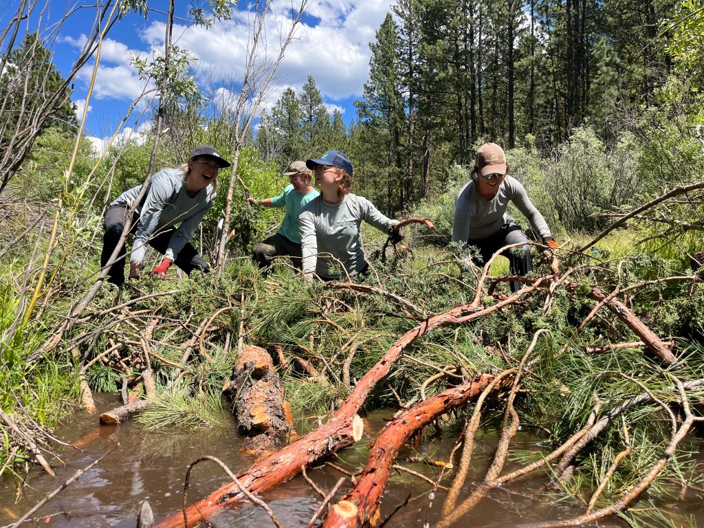 Beaver-Based Restoration — From Oregon to&nbsp;B.C.