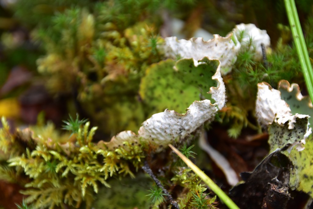 Submission to the Select Standing Committee on Finance and Government&nbsp;Services