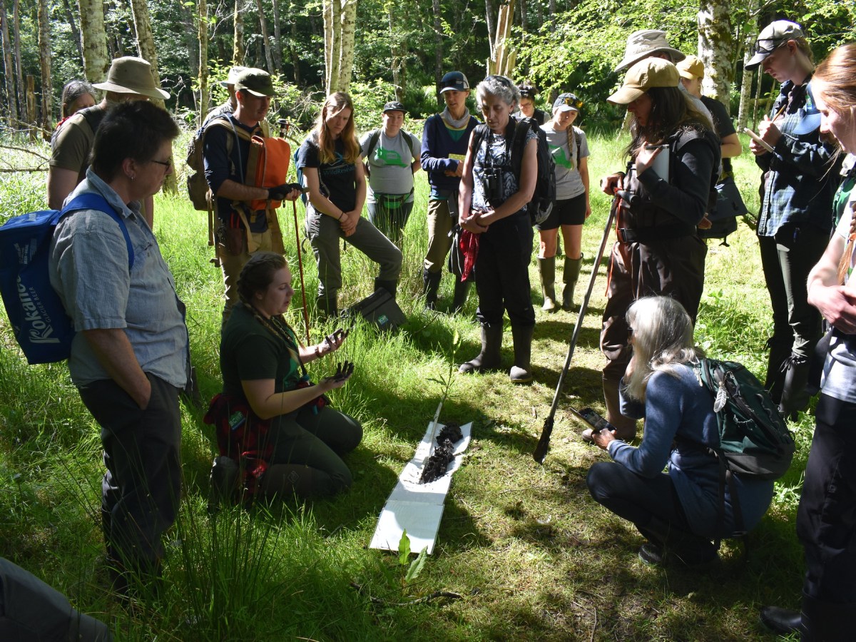 Keeping up with the Wetlands — A Summer of Wetland&nbsp;Exploration