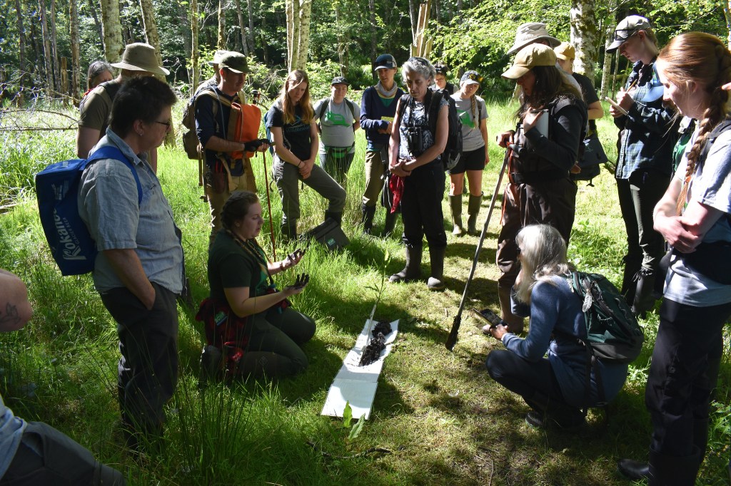 Keeping up with the Wetlands — A Summer of Wetland Exploration