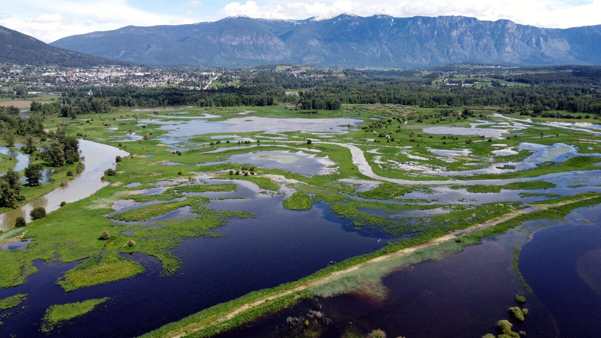 Watershed Renewal Project in Partnership With B.C. First Nation Bearing Fruit as Wildlife Return