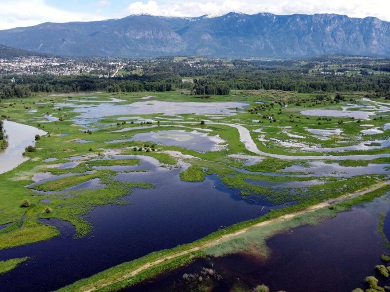 Watershed Renewal Project in Partnership With B.C. First Nation Bearing Fruit as Wildlife&nbsp;Return