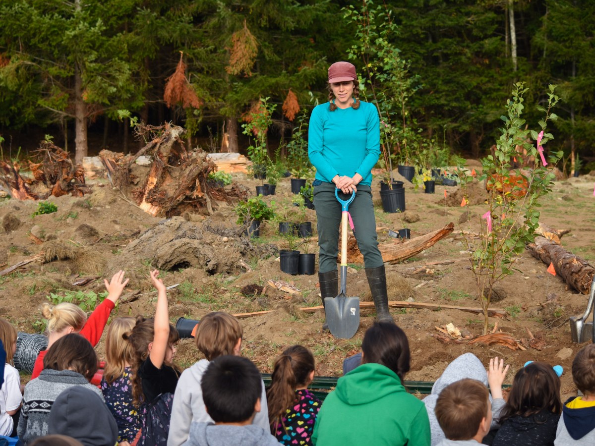 Quadra Island community comes together to install 500 native plants at new B.C.&nbsp;wetland
