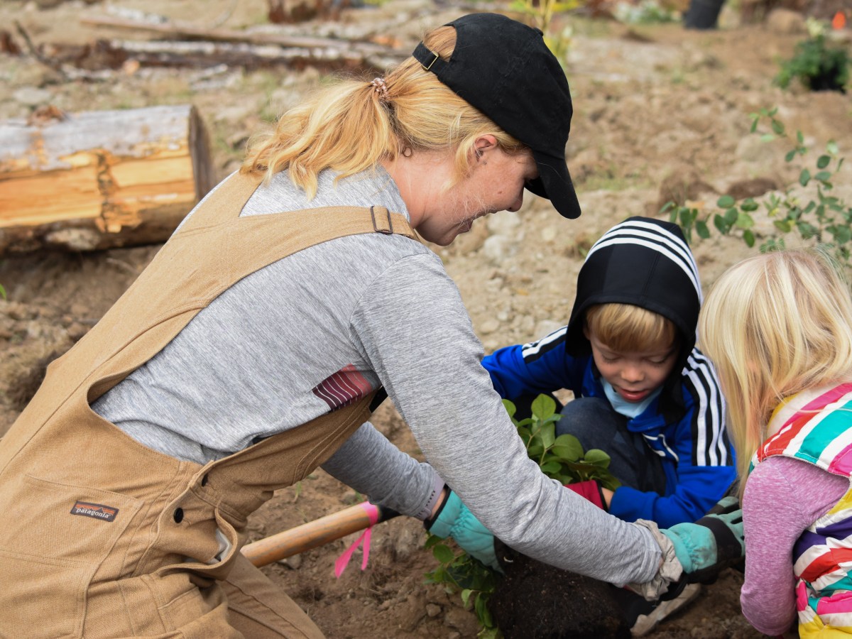 Quadra Island Schoolyard Given New Life with Wetland&nbsp;Build