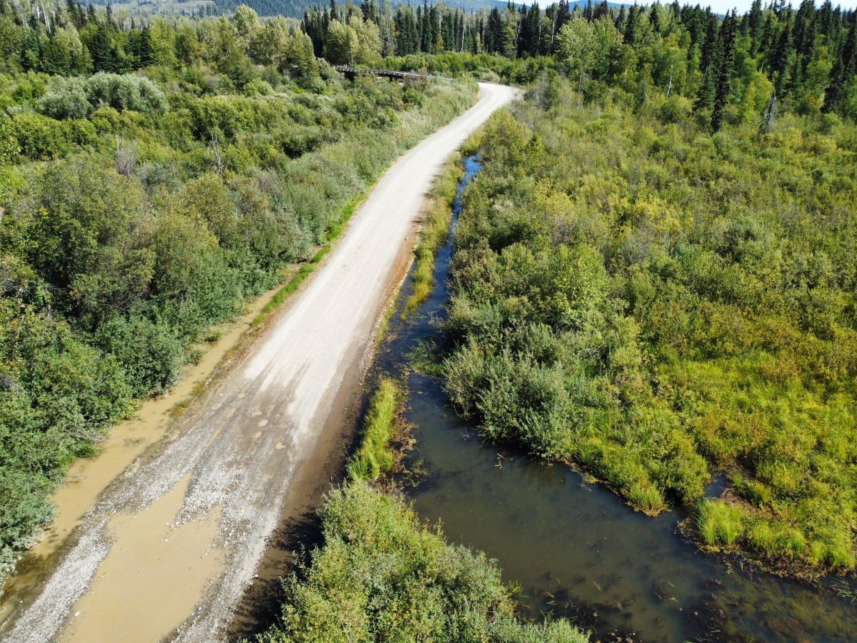 Assessing Road Impacts on Wetlands in Northern B.C. 