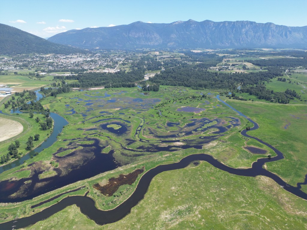 Reviving the Land — The Yaqan Nukiy Wetland Renaturalization Project 