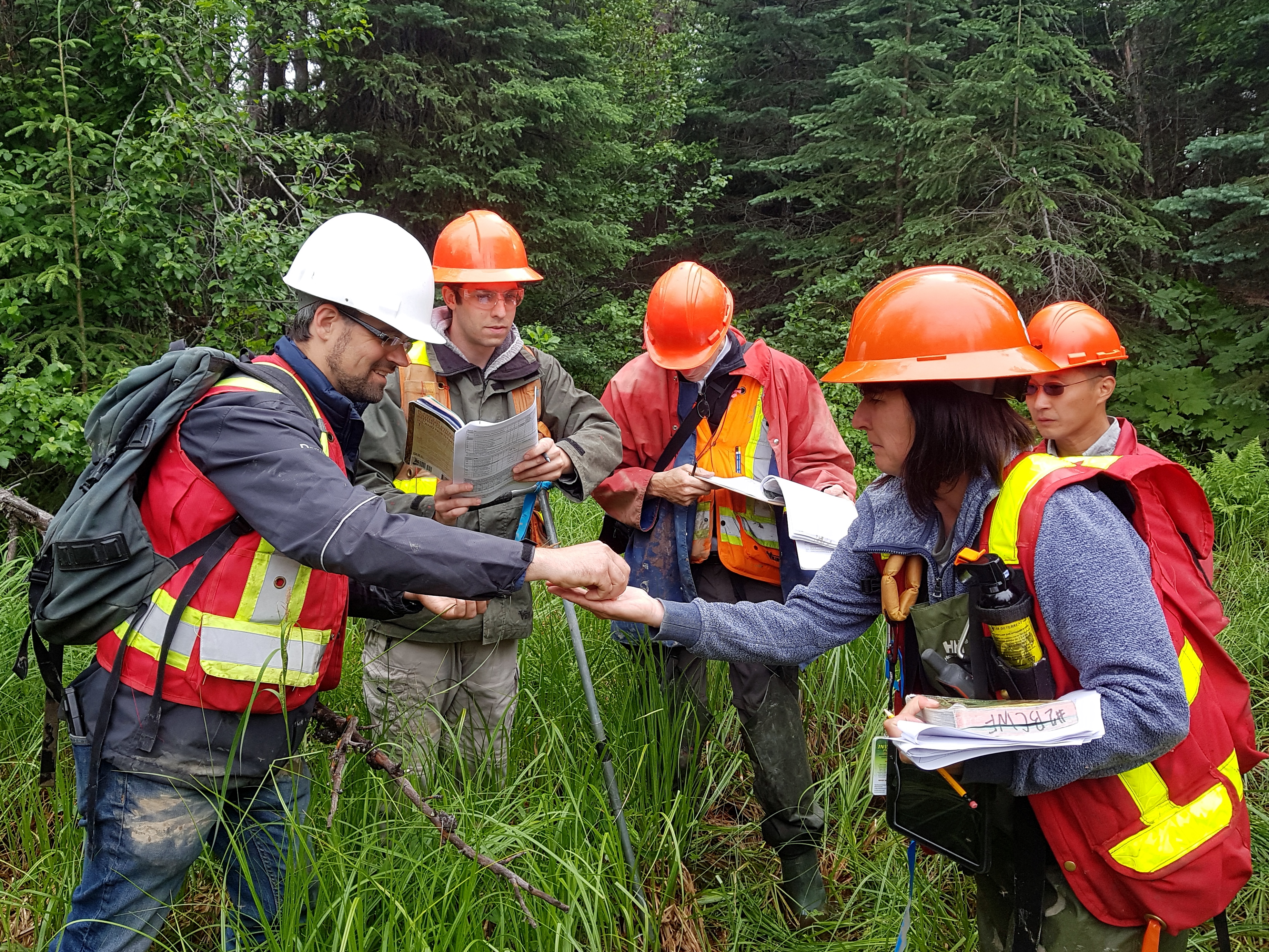 New Hope for Wetlands in B.C. — FREP Wetland Health Assessment