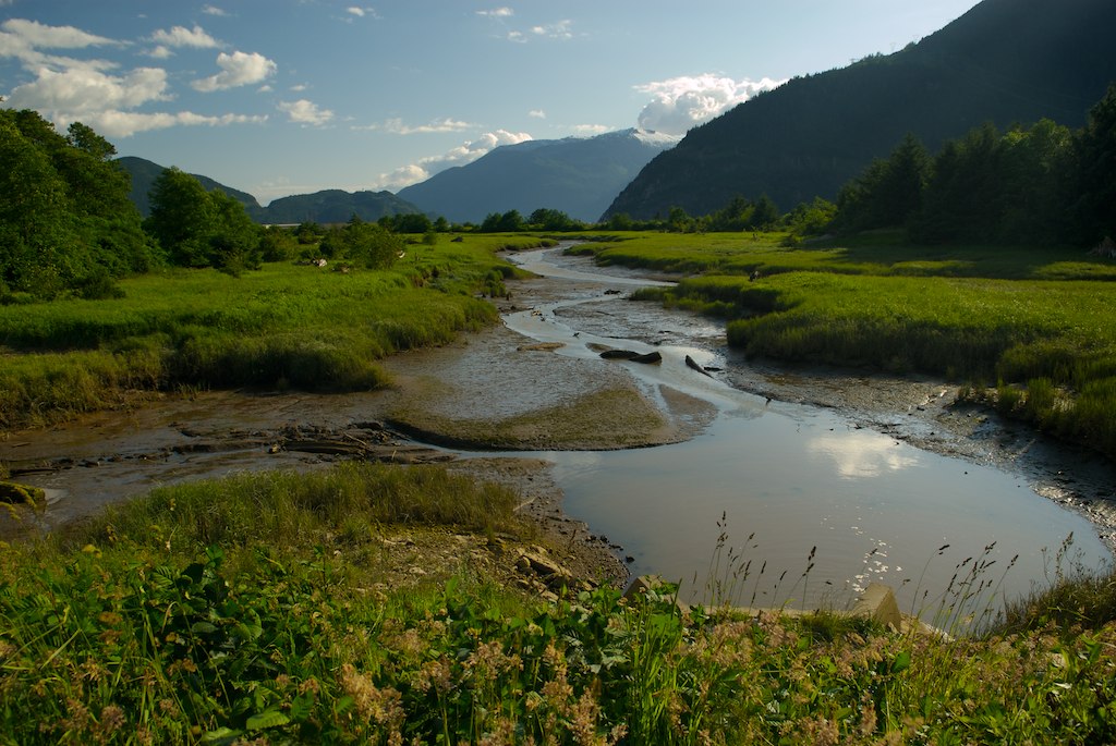 B.C. Planners Unite for&nbsp;Wetlands!