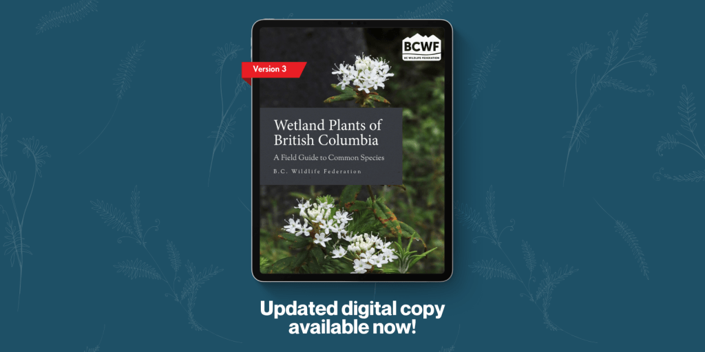 Now Available! Wetland Plants of British Columbia, Version 3
