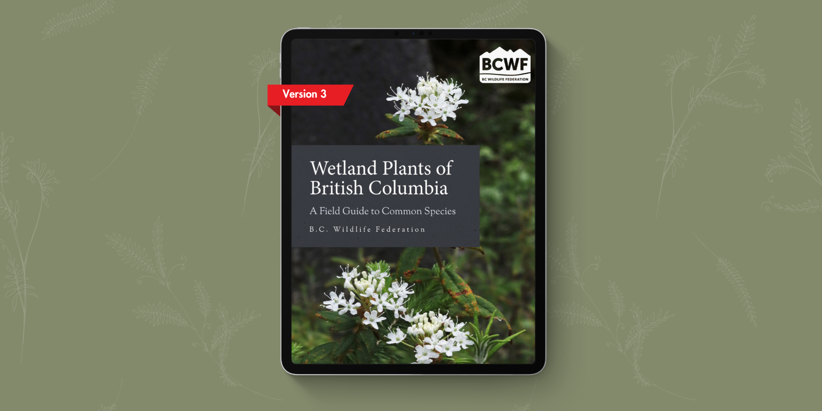 Now Available! Wetland Plants of British Columbia, Version 3
