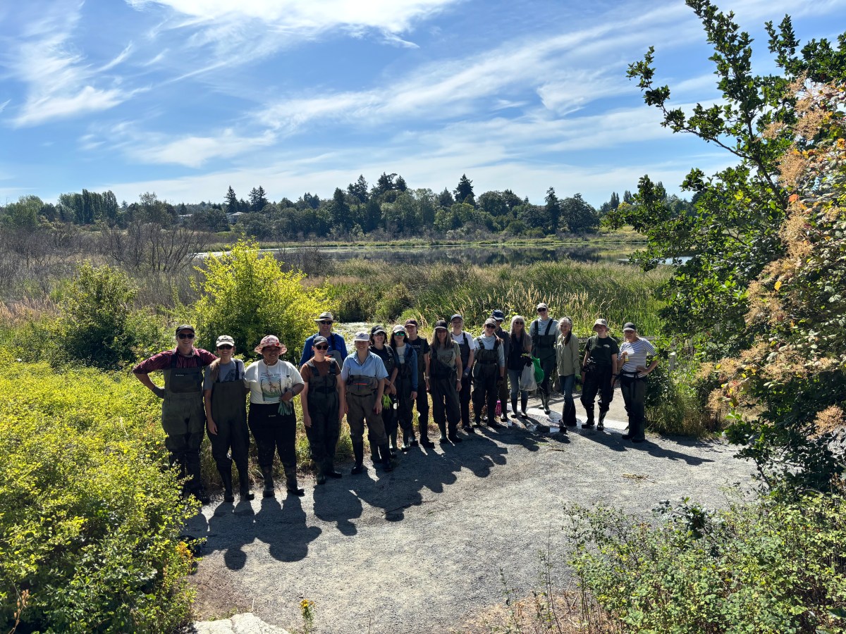 Building Wetland Stewardship Skills in Victoria&nbsp;B.C.