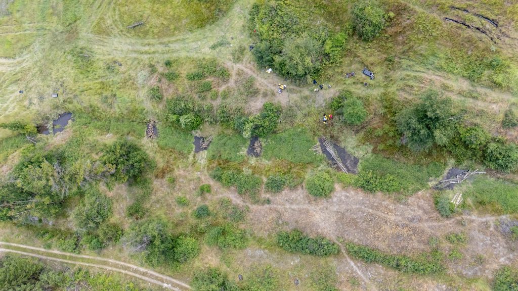 Kicking Off 2025 with Hands on Restoration and Training in the South Okanagan 