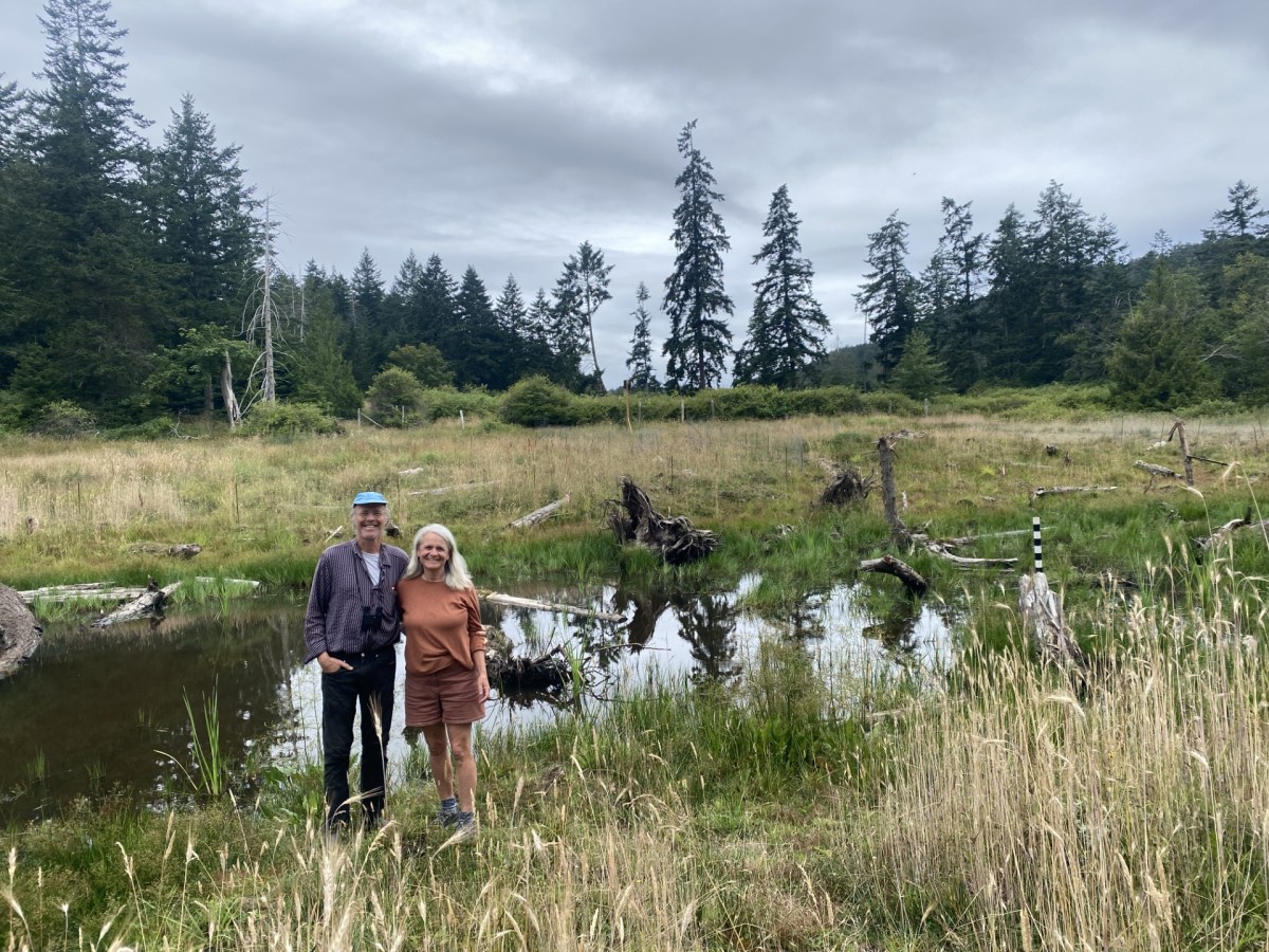 Wetland Revival on Pender Island Thanks to Local&nbsp;Landowners