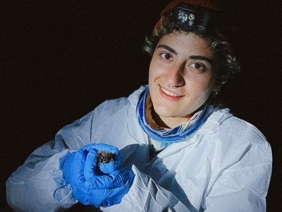 Little Brown Bats — From Curiosity to Conservation 