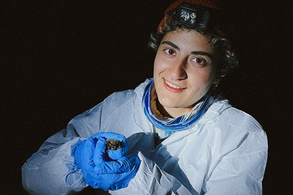 Little Brown Bats — From Curiosity to Conservation